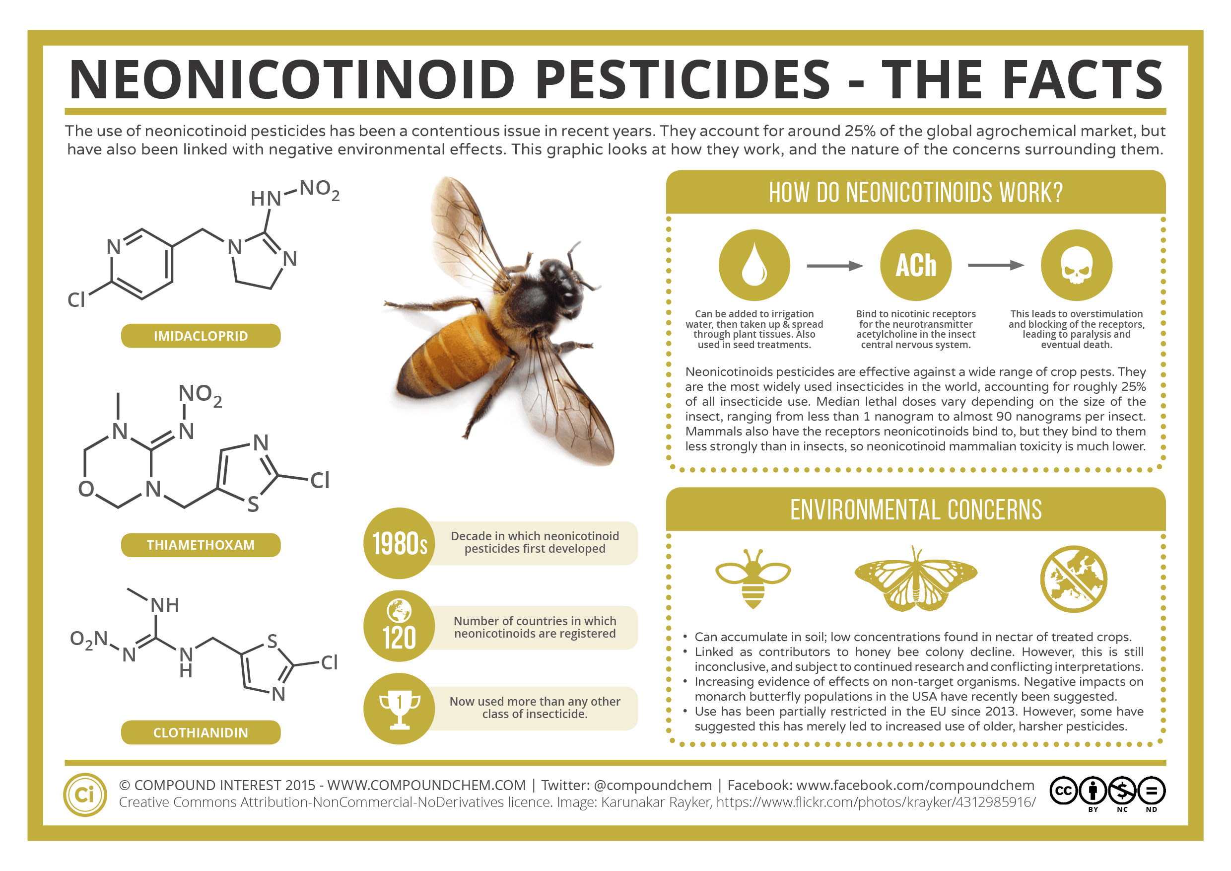 Poster depicting damage to pollinators from neonicotinoids 